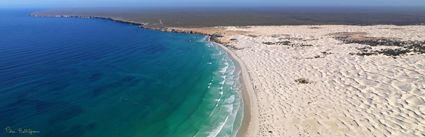 Whales - Head of Bight - SA (PBH3 00 28955)